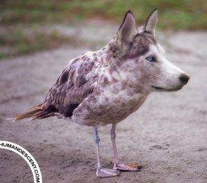 Mutation types