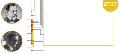 Timeline highlighting the Golden Age of Microbiology