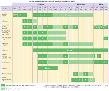 CDC recommended immunization schedule