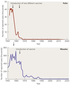Graphs showing reduction in polio and measles cases after vaccination