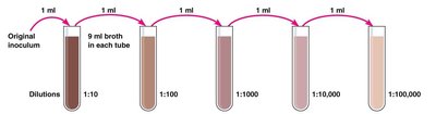 Pour plate method diagram