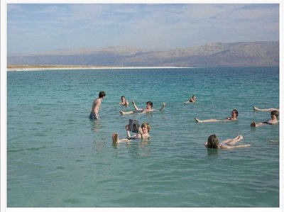 People floating in the Dead Sea, illustrating high salt concentration