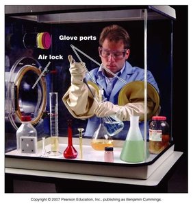 Anaerobic chamber for culturing anaerobes