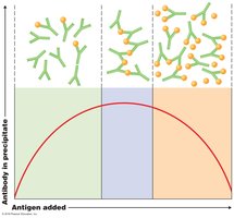 Precipitation curve showing zones of equivalence
