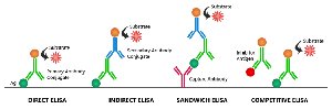 Types of ELISA assays