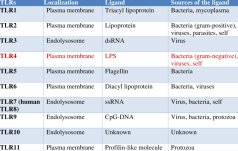 Table of Toll-Like Receptors, their ligands, and sources