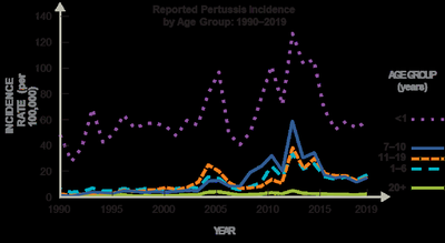 Graph of pertussis incidence by age group over time