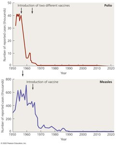 Graphs showing reduction in polio and measles cases after vaccine introduction