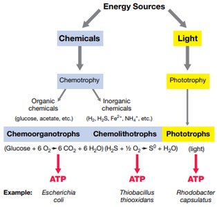 Energy sources classification