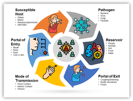 Chain of infection diagram