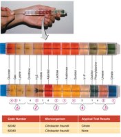 Rapid identification method for microorganisms