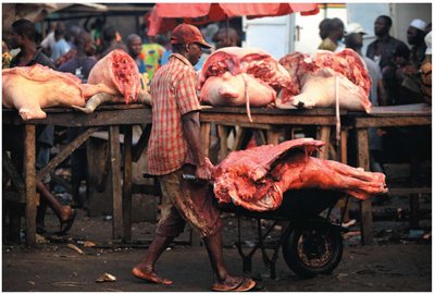 Foodborne transmission