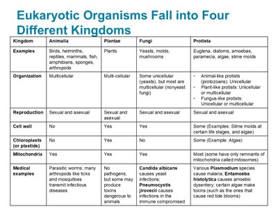 Table summarizing eukaryotic kingdoms
