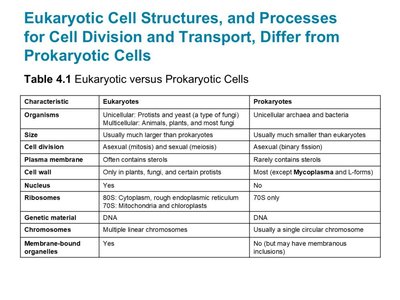 Table comparing eukaryotic and prokaryotic cells