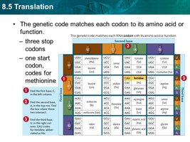 Genetic code table with methionine highlighted