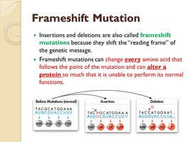 Frameshift mutation: insertion and deletion