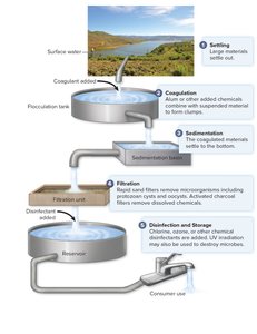 Diagram of water purification steps: settling, coagulation, sedimentation, filtration, disinfection