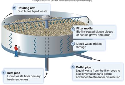 Diagram of a trickling filter system for secondary wastewater treatment