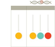Types of mutations: silent, missense, nonsense