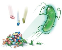 Antimicrobial resistance illustration