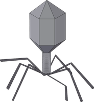 Bacteriophage illustration