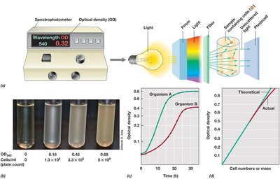 Spectrophotometric measurement of optical density