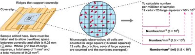 Direct microscopic count using a counting chamber
