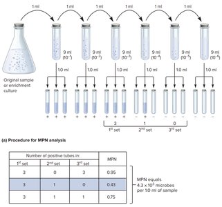MPN analysis procedure