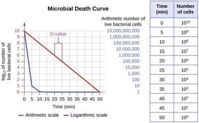 Effect of cell type (spores vs vegetative) on death curve