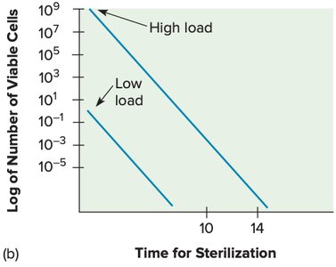 Autoclave temperature profile