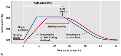 UV sterilization of equipment