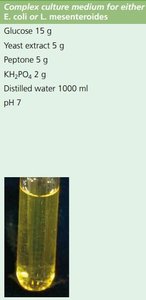 Complex culture medium for E. coli or L. mesenteroides