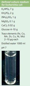 Defined culture medium for Escherichia coli