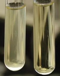 Broth tubes (liquid media)