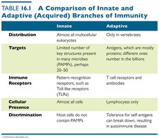 Table comparing innate and adaptive immunity
