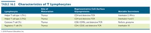 Table: Characteristics of T lymphocytes