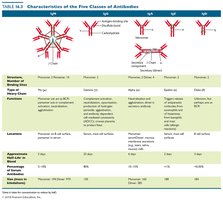 Table: Characteristics of the five classes of antibodies