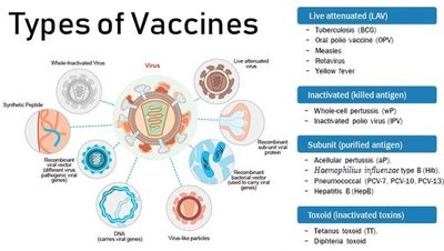 Types of vaccines diagram