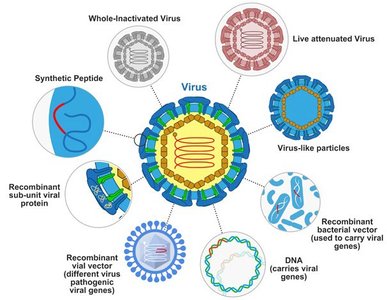 Diagram of vaccine types including inactivated, attenuated, subunit, VLP, recombinant, and DNA vaccines