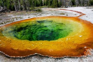 Metabolic diversity of purple non-sulfur bacteria