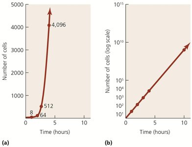Logarithmic growth curves