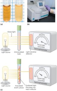 Turbidity and spectrophotometry