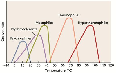 Temperature ranges for microbial growth categories