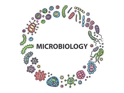 Microbiology circle with microbes