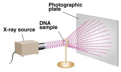 X-ray diffraction setup for DNA