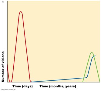 Latent and persistent viral infections