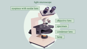 Modern light microscope labeled