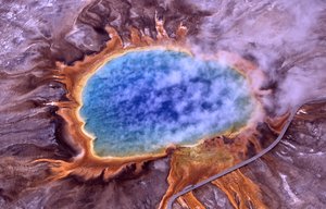 Archaeal diversity and environments