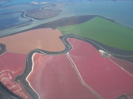Archaeal diversity and environments