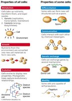 Properties of all cells and some cells